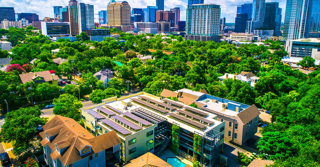 🌳 Celebrate National Love a Tree Day with EcoLeafy Dot – Growing Greener, One Tree at a Time