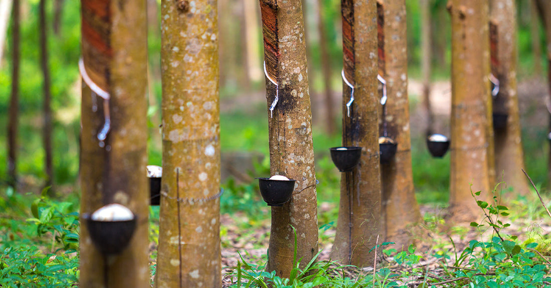 How to Spot Genuine Eco-Friendly Products in the Marketplace