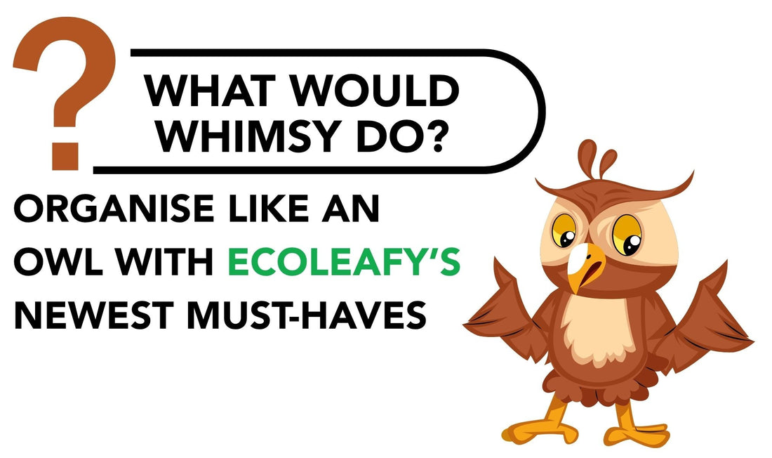 What Would Whimsy Do? Organize Like an Owl with EcoLeafy’s Smartest Pick