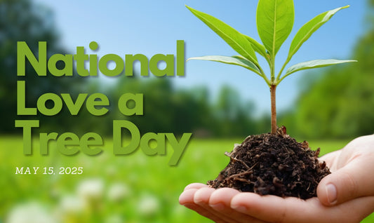 🌳 Celebrate National Love a Tree Day with EcoLeafy Dot – Growing Greener, One Tree at a Time
